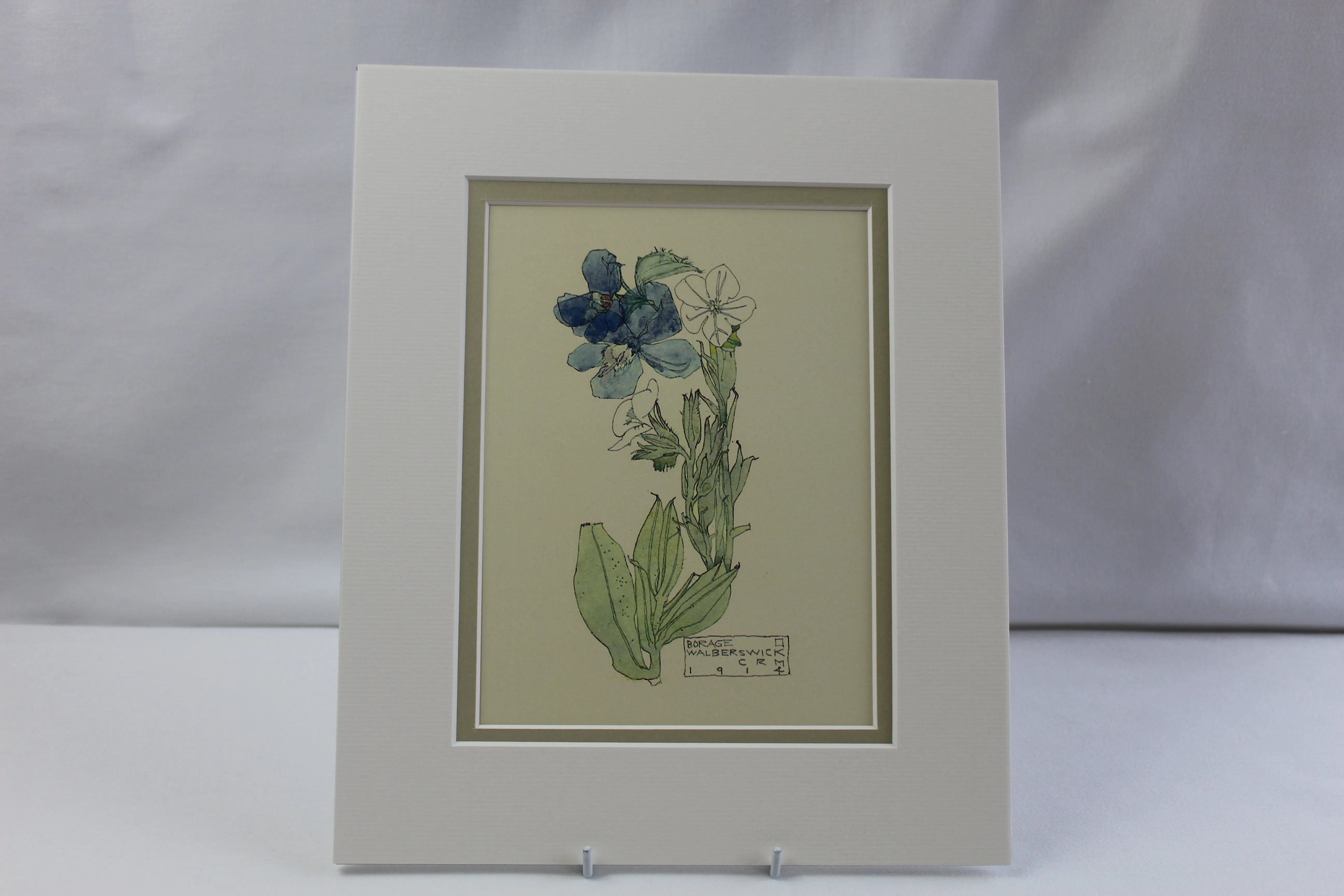Mackintosh "Borage" Print